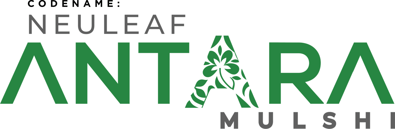 AMARANTA Logo